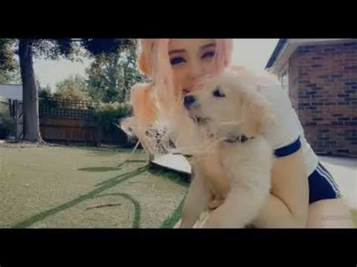 Belle Delphine Pets
