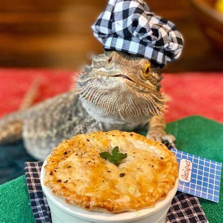 Chef Lenny the Lizard and Sons