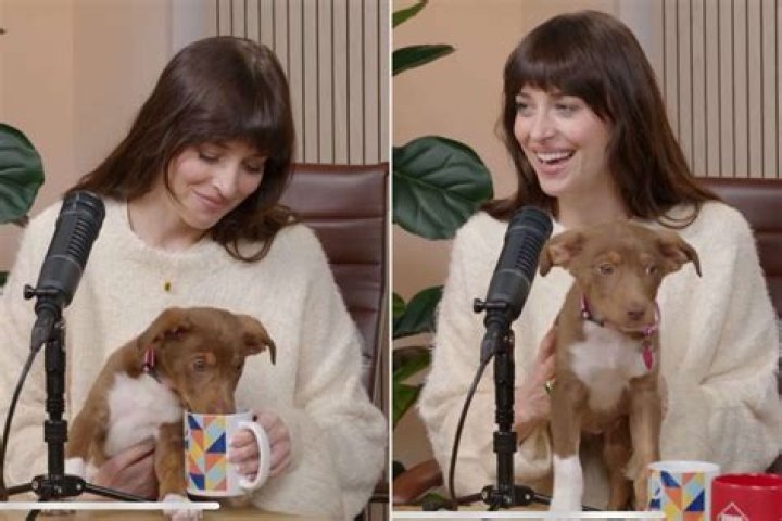 Dakota Johnson Pets