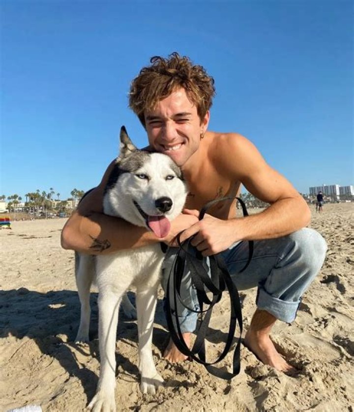 Daniel Seavey Pets