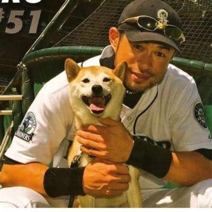 Ichiro Suzuki Pets