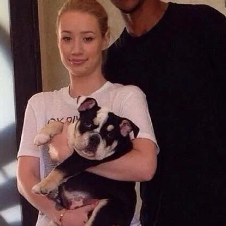 Iggy Azalea Pets