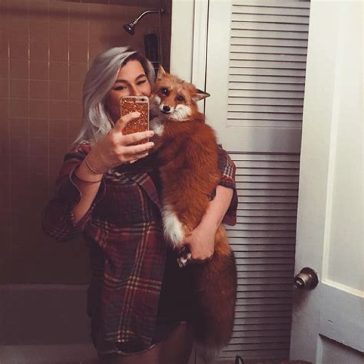 Juniper Fox - Happy Instagram