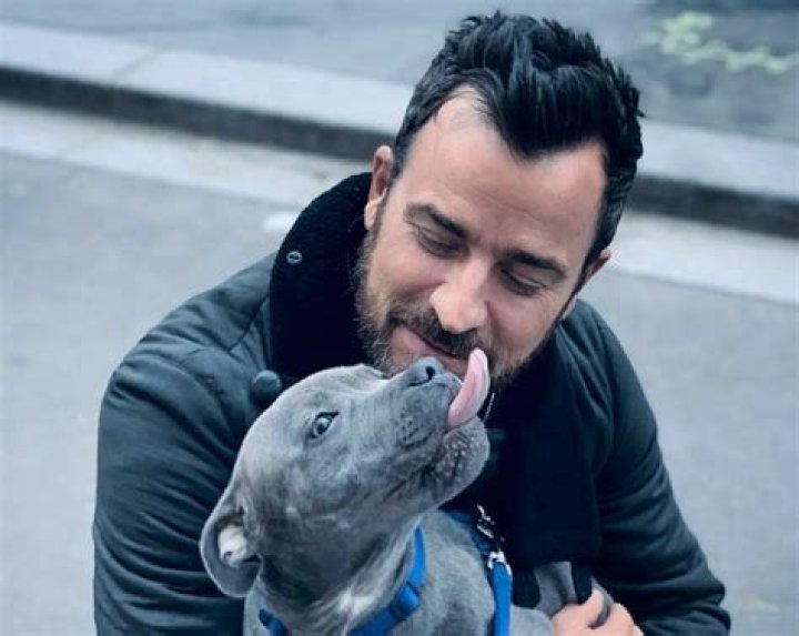 Justin Theroux Pets
