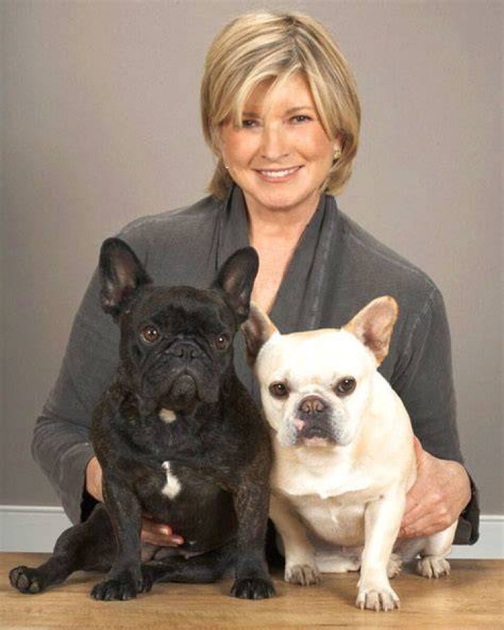 Martha Stewart Pets