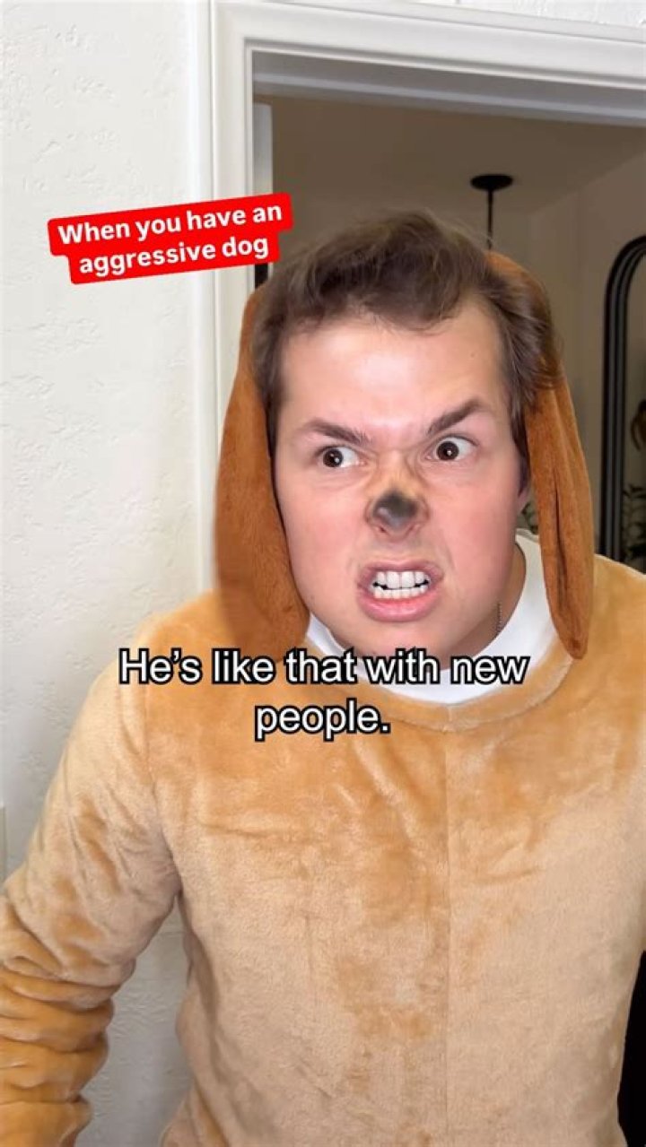 Matthew Josten Pets