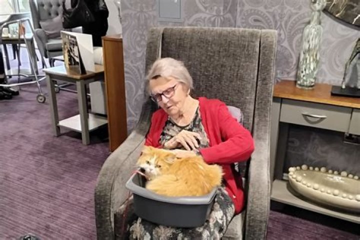Morgan Davies Pets