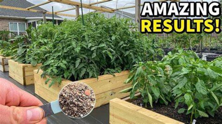The Millennial Gardener